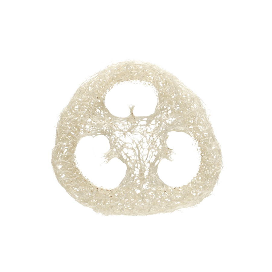 Gourd Exfoliating Loofah